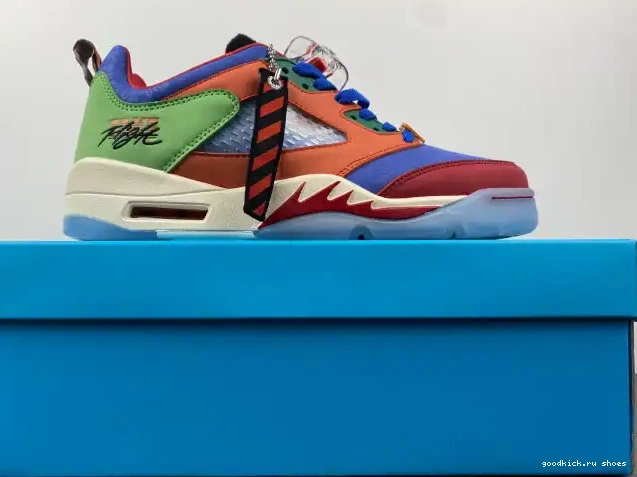 Doernbecher Jordan DR6287-486 Air Low 5 0621